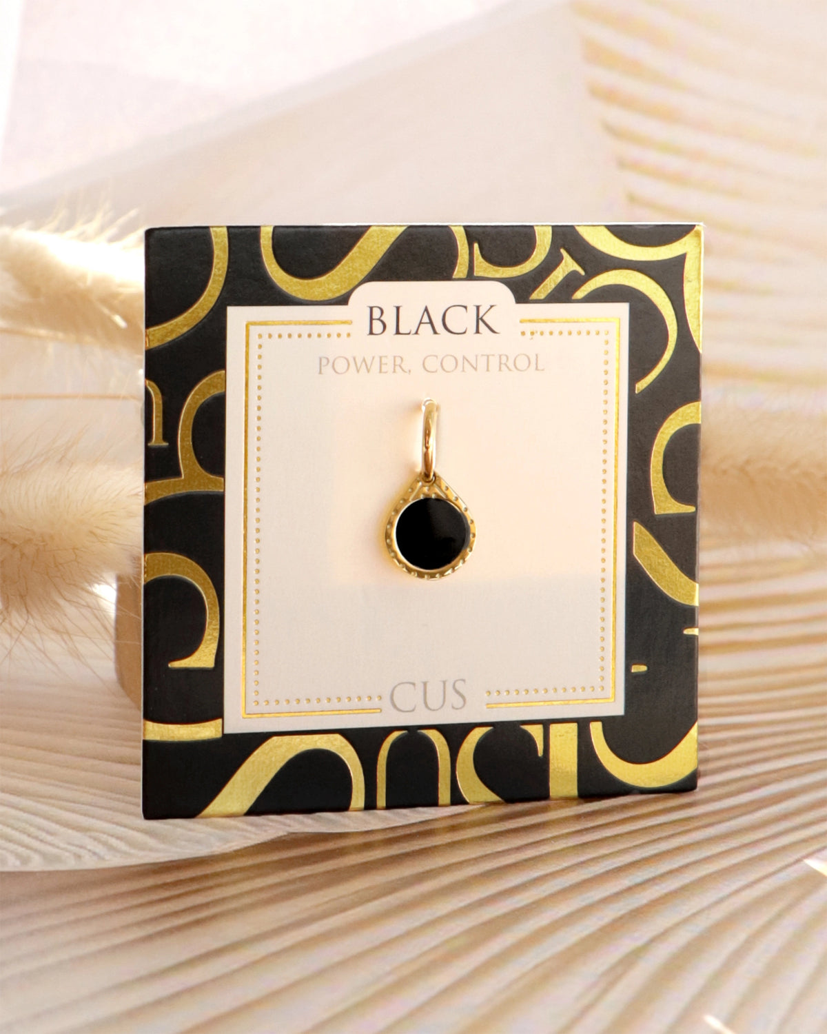 Reva | Anhänger Power Control