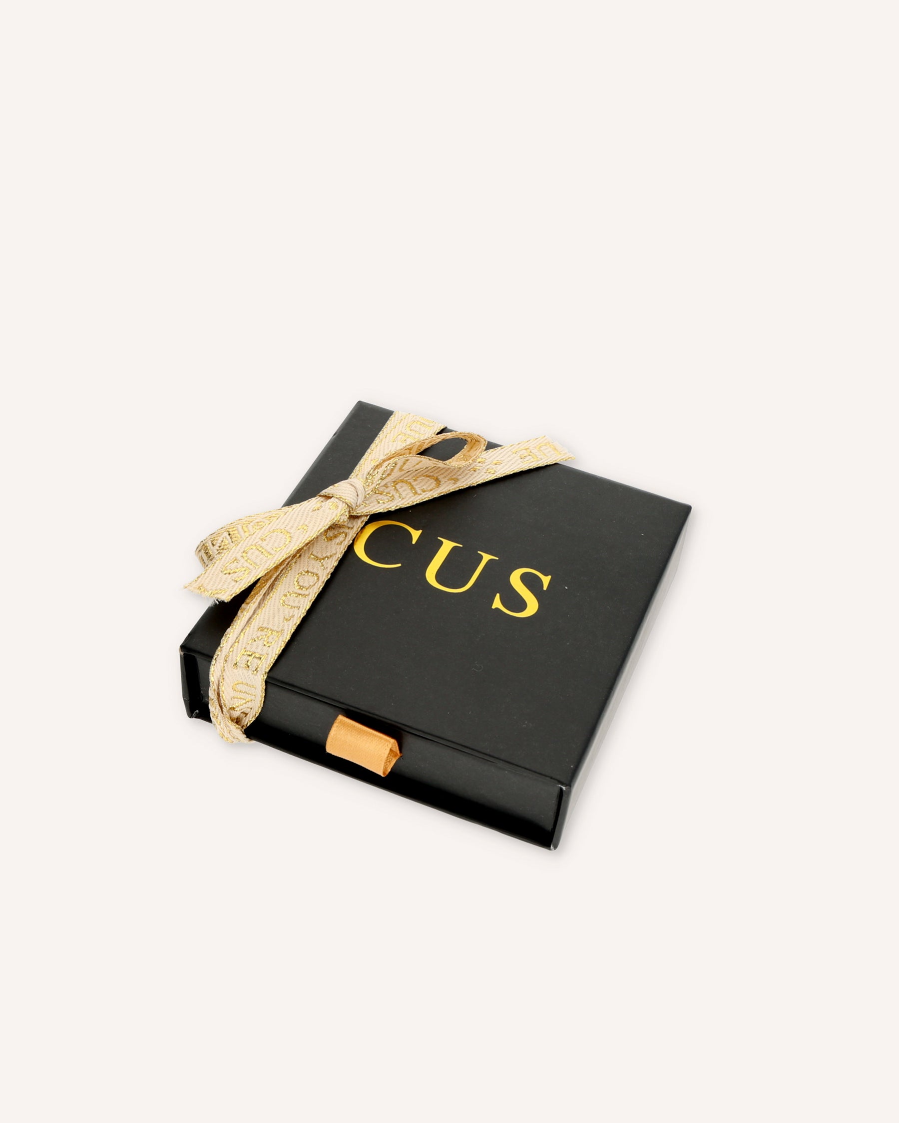 CUS Gaia | Oorbellen Labradorite Cadeaubox Zilver