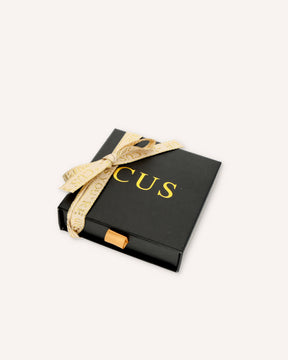 CUS Gaia | Oorbellen Labradorite Cadeaubox Zilver